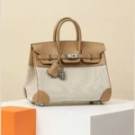 Hermès Birkin 25 Chai Toile & Swift Leather Bag with Palladium Hardware in Dubai UAE